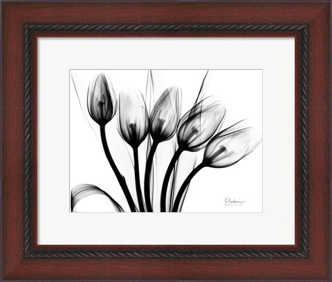 Framed Marching Tulips Print