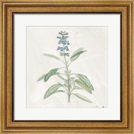 Framed Blue Botanical 1 Print