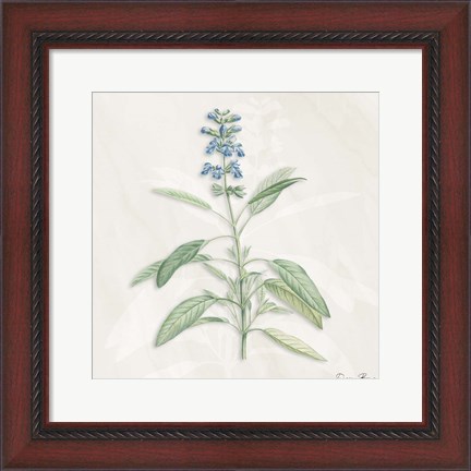 Framed Blue Botanical 1 Print