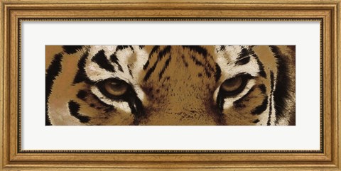 Framed Tiger Eyes Print