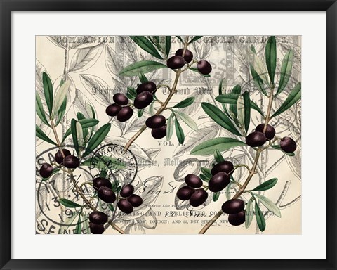 Framed Olive Branch 1 Print