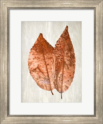 Framed Copper Leaves 2 Print
