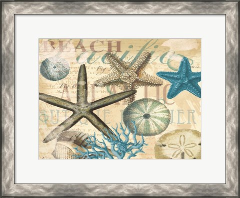 Framed Beach Shells Print