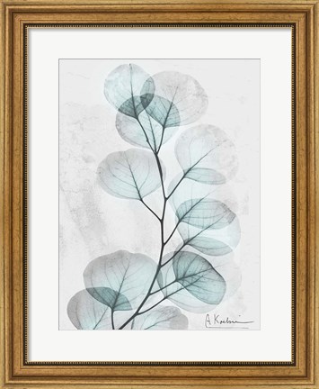 Framed Eucalyptus Glow 3 Print