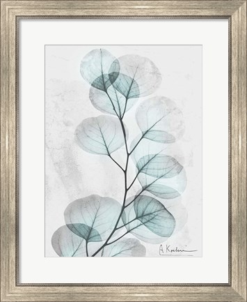 Framed Eucalyptus Glow 3 Print