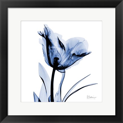 Framed Indigo Softened Tulip Print