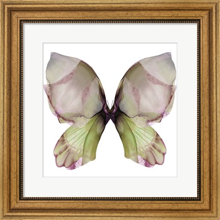 Framed Floral Butterfly 1 Print