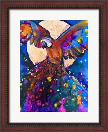 Framed Vibrant Parrot Print