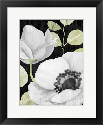 Framed Anemone On Black 2 Print