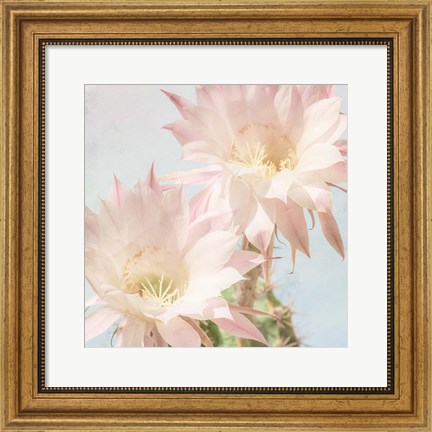Framed Cactus Bloom Print