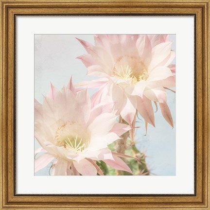 Framed Cactus Bloom Print