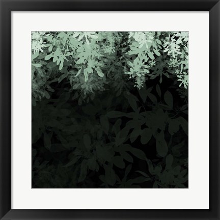 Framed Dark Tropical I Print