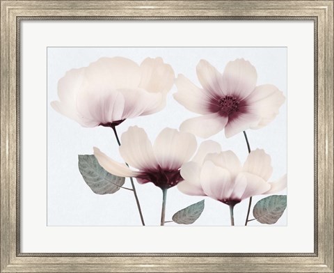 Framed Blooming Youth 2 Print