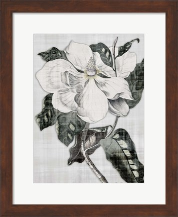 Framed Southern Magnolia 1 Print