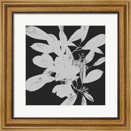 Framed Botanical Dark 1 Print