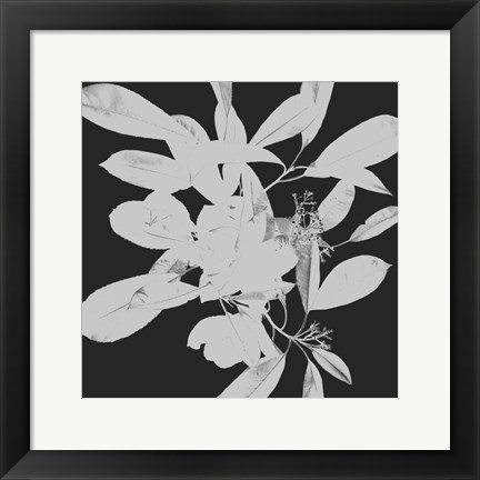 Framed Botanical Dark 1 Print