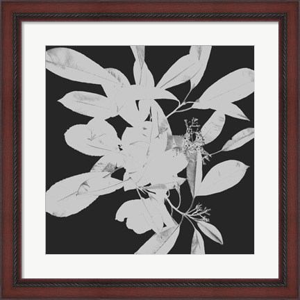 Framed Botanical Dark 1 Print