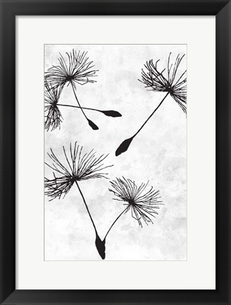 Framed Dandelion Flight 2 Print