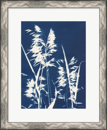 Framed Ornamental Grass VI Print