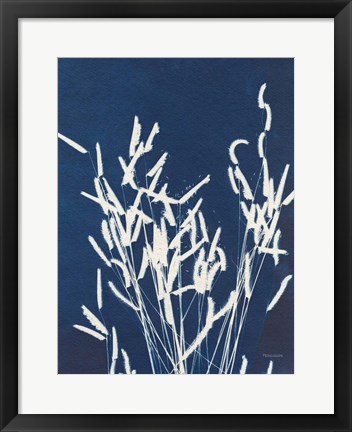 Framed Ornamental Grass IV Print