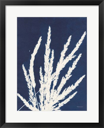 Framed Ornamental Grass II Print