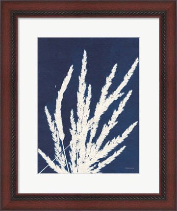 Framed Ornamental Grass II Print