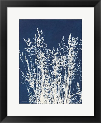 Framed Ornamental Grass I Print