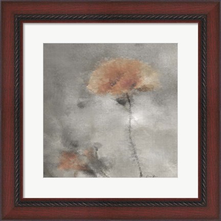 Framed Two Poppies 2 Print