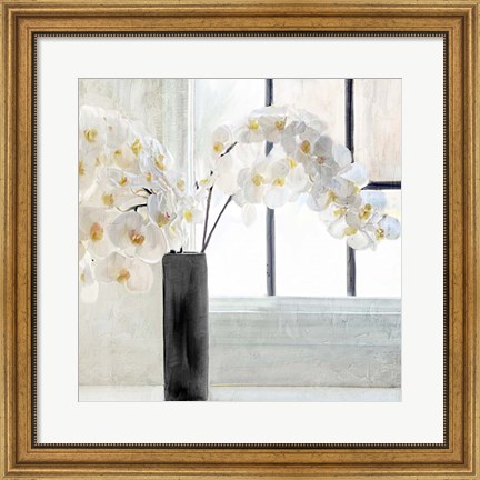 Framed Orchid Window Print
