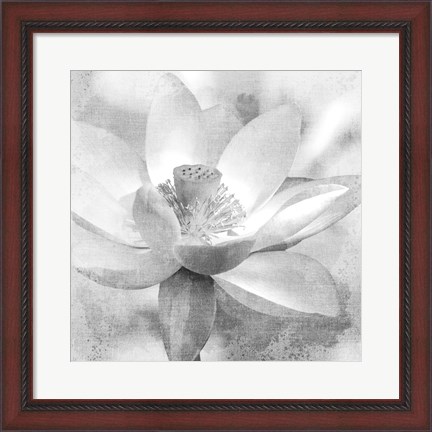 Framed Lotus Print