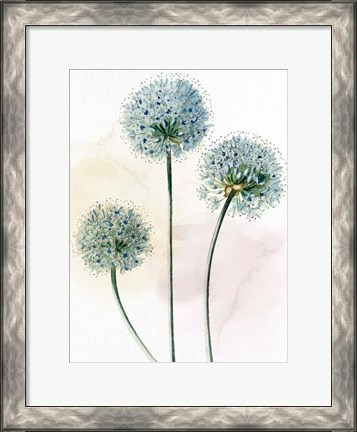 Framed Watercolor Dandelion Print