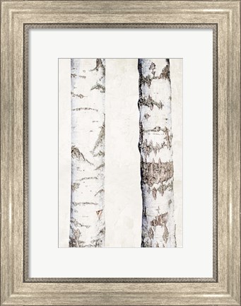 Framed Birches 3 Print