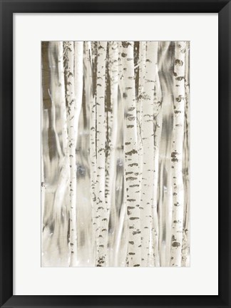 Framed Birches 3 Print