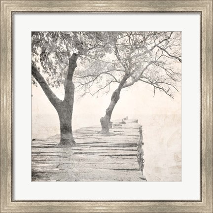 Framed Tree Pier Print