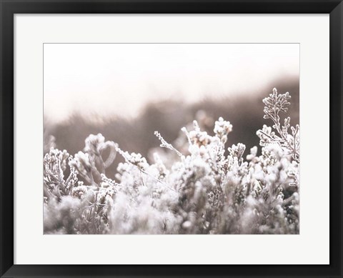 Framed Cashmere Frost Print