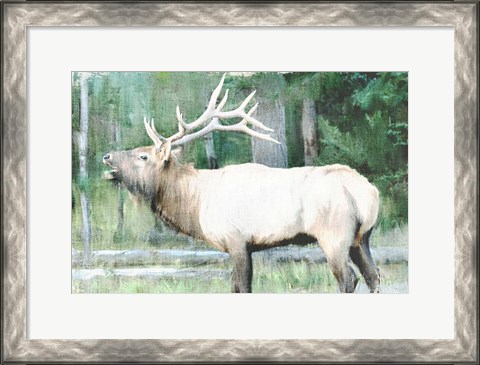 Framed Linen Pressed Elk Print