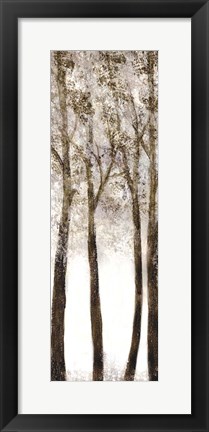 Framed Wooded Grove 1 Print