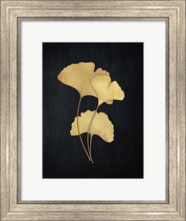 Framed Midas Ginkgo 2 Print