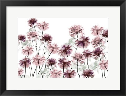 Framed Magnificent Flower Bed 1 Print