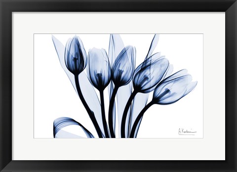Framed Marvelous Indigo Tulips 2 Print