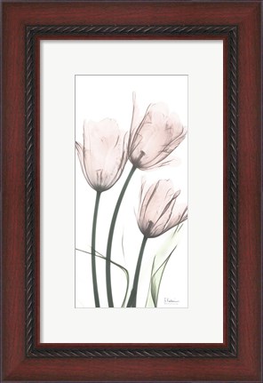 Framed Strawberry Infused Tulips Print