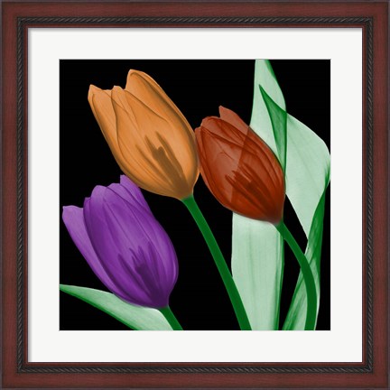 Framed Jeweled Tulips 4 Print
