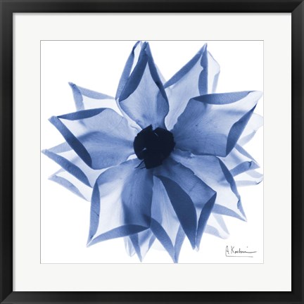 Framed Indigo Rose Petals 1 Print