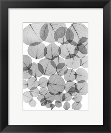 Framed Baybean Leaves Print