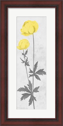 Framed Shinning Bloom Print