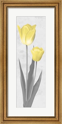 Framed Shinning Bloom 2 Print