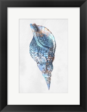 Framed Urban Sea Shell 3 Print