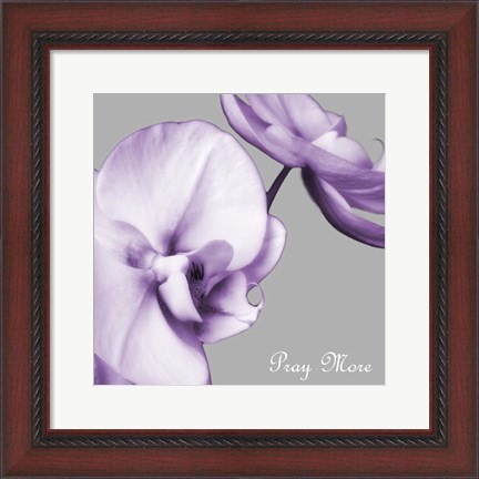 Framed Praying Orchids Print