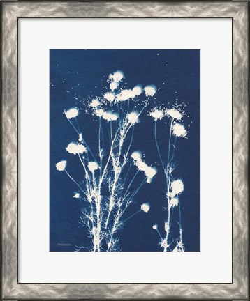 Framed Alpine Flower VI Print