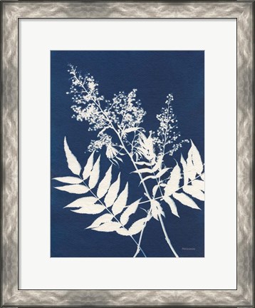 Framed Alpine Flower III Print